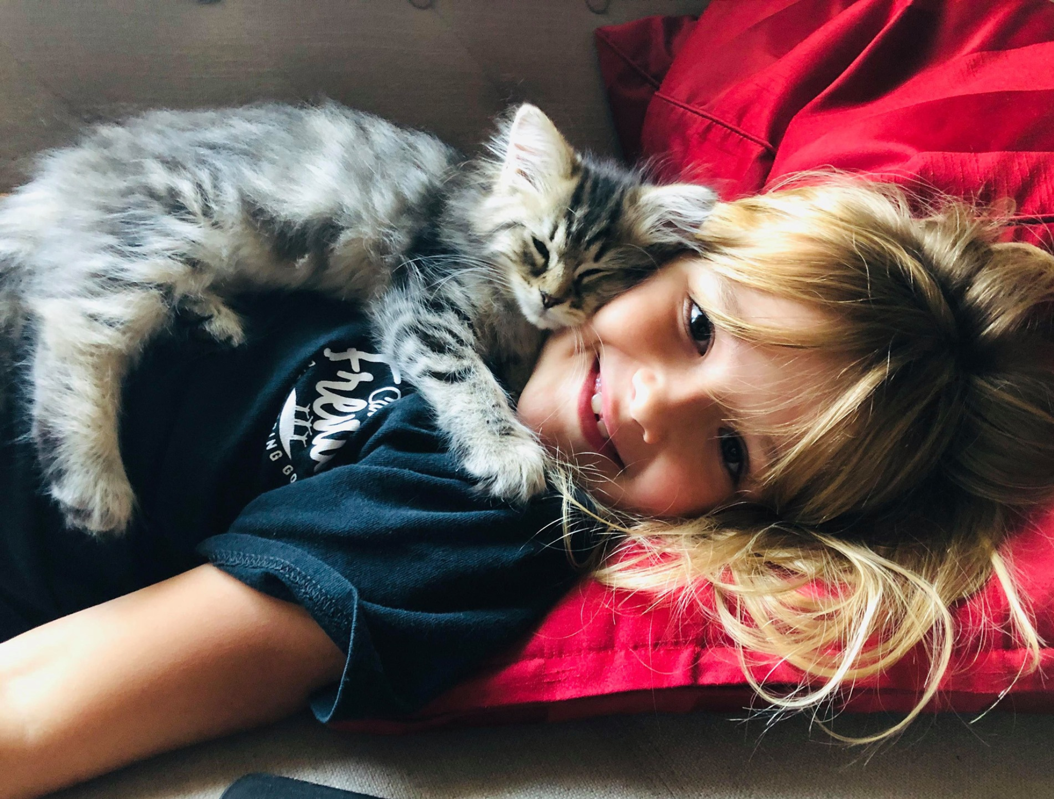 DogLikeCat_Slider3