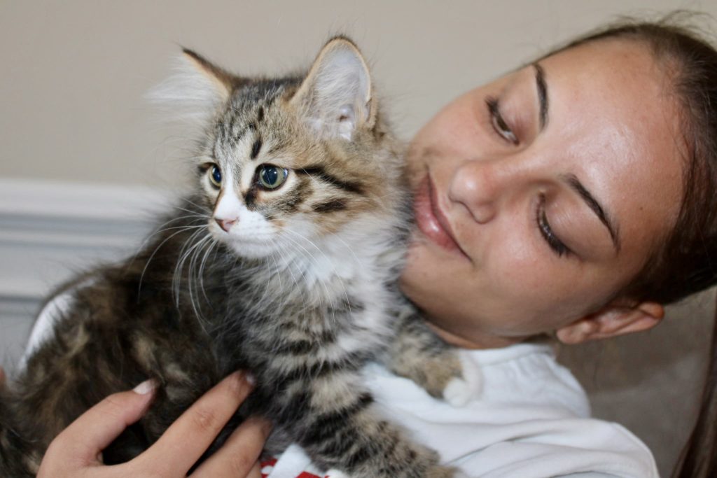 DogLikeCat_hypoallergenic