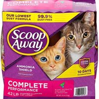 DogLikeCat_scoopaway